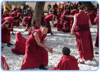China, Tibet, Lhasa, Sera Kloster, tibetische Mönche, 